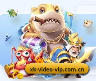 纯净数据引擎与专属赛事提醒